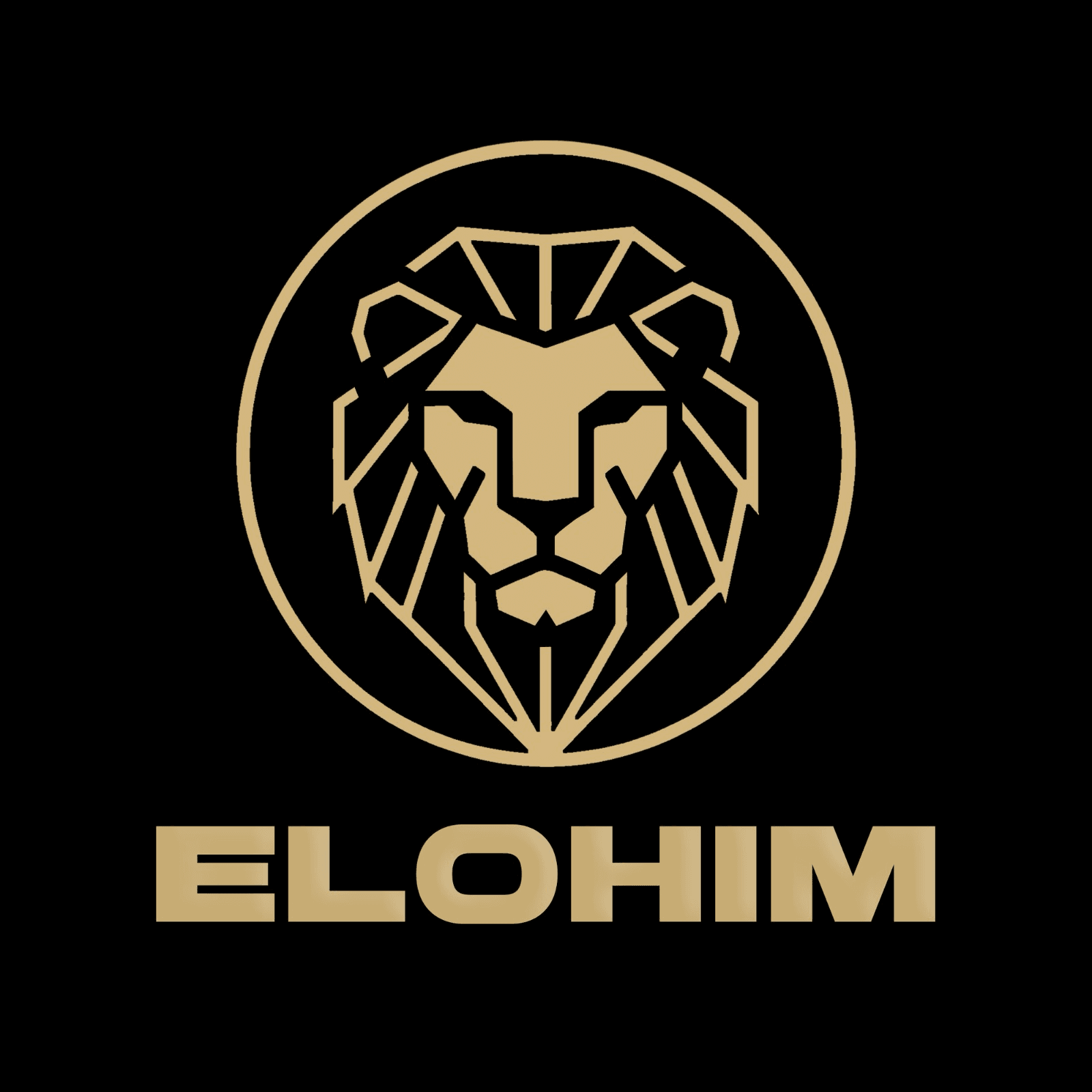 CORPORACION IMPORT ELOHIM S.A.C.